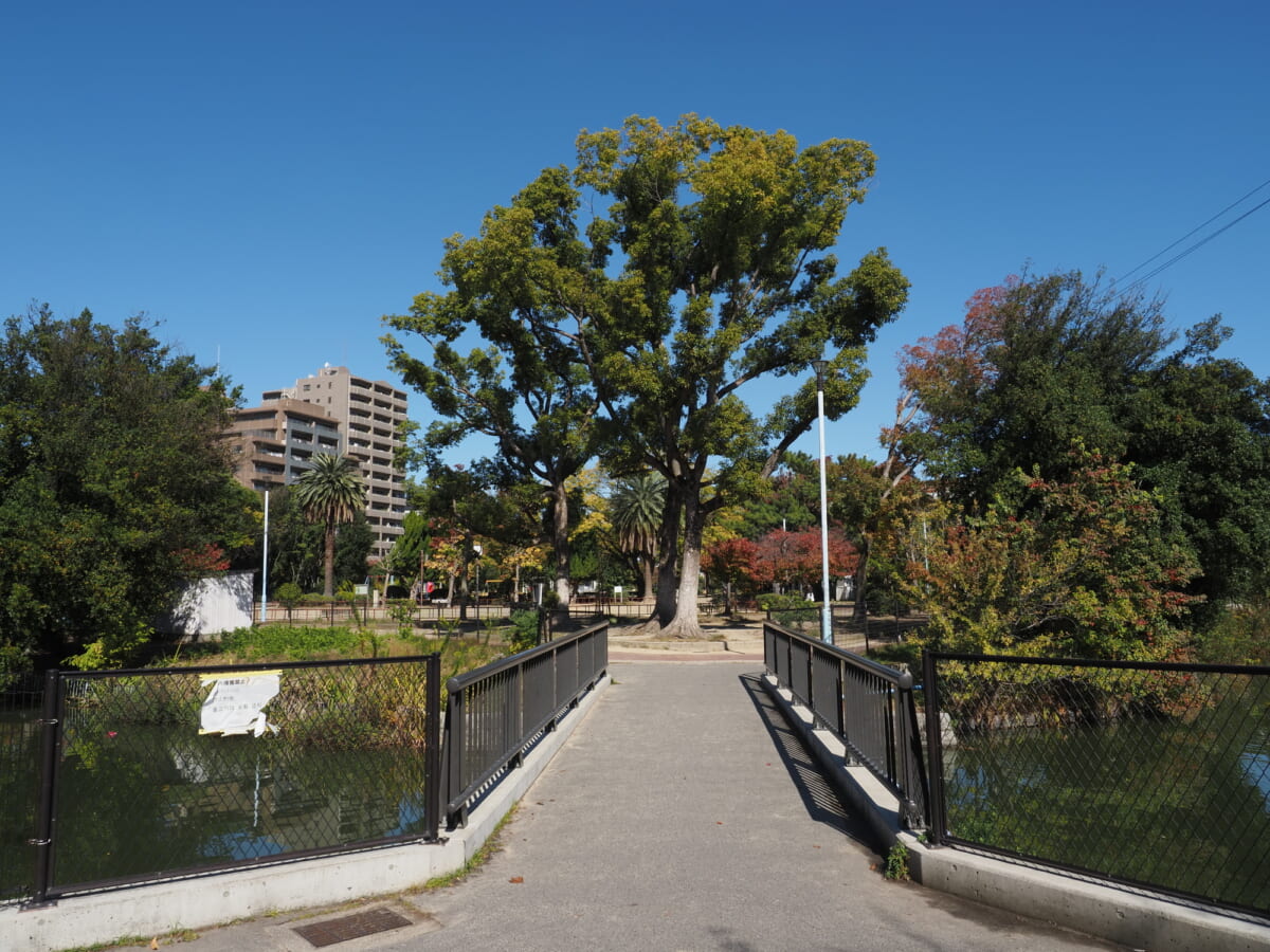 桃ヶ池公園